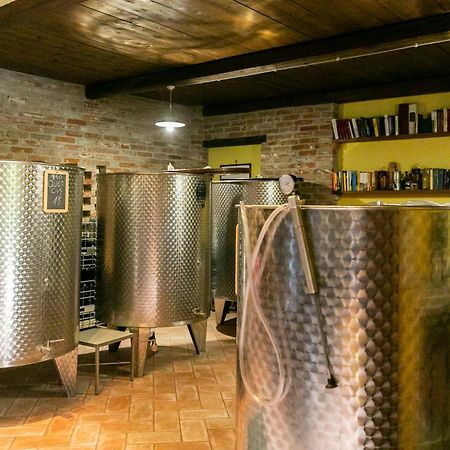 Ca Trifolera Barbaresco - Romantico Cascinale Con Antica Cantina Nel Cuore Delle Langhe - Degustazione Vini Nella Nostra Cantina 外观 照片