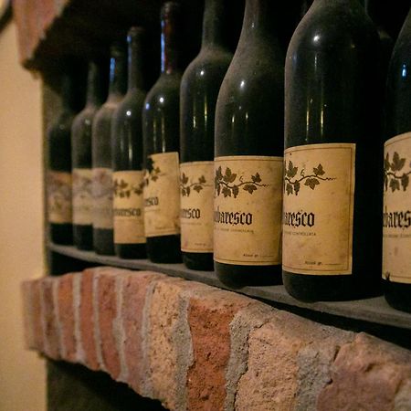 Ca Trifolera Barbaresco - Romantico Cascinale Con Antica Cantina Nel Cuore Delle Langhe - Degustazione Vini Nella Nostra Cantina 外观 照片
