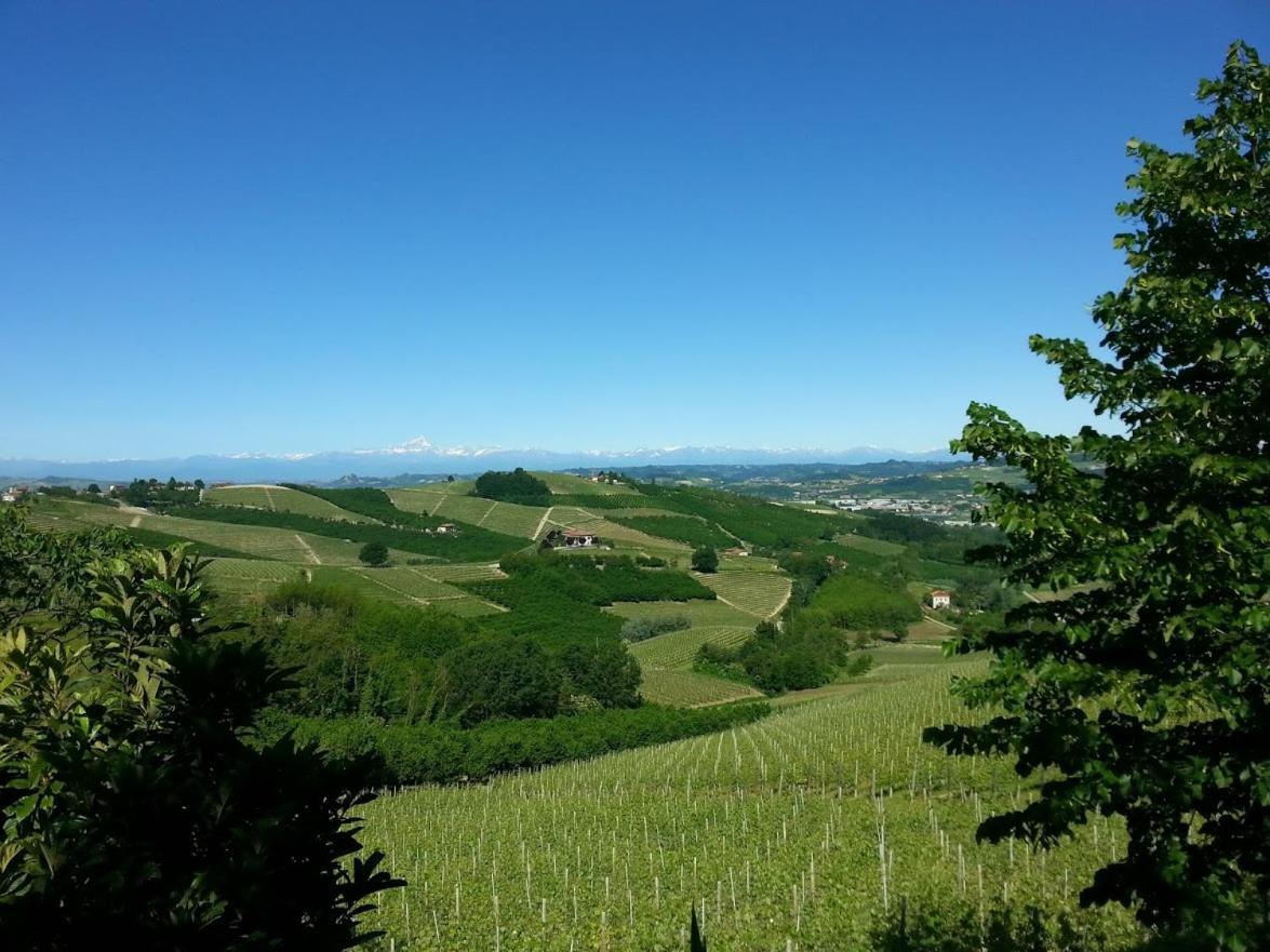 Ca Trifolera Barbaresco - Romantico Cascinale Con Antica Cantina Nel Cuore Delle Langhe - Degustazione Vini Nella Nostra Cantina 外观 照片