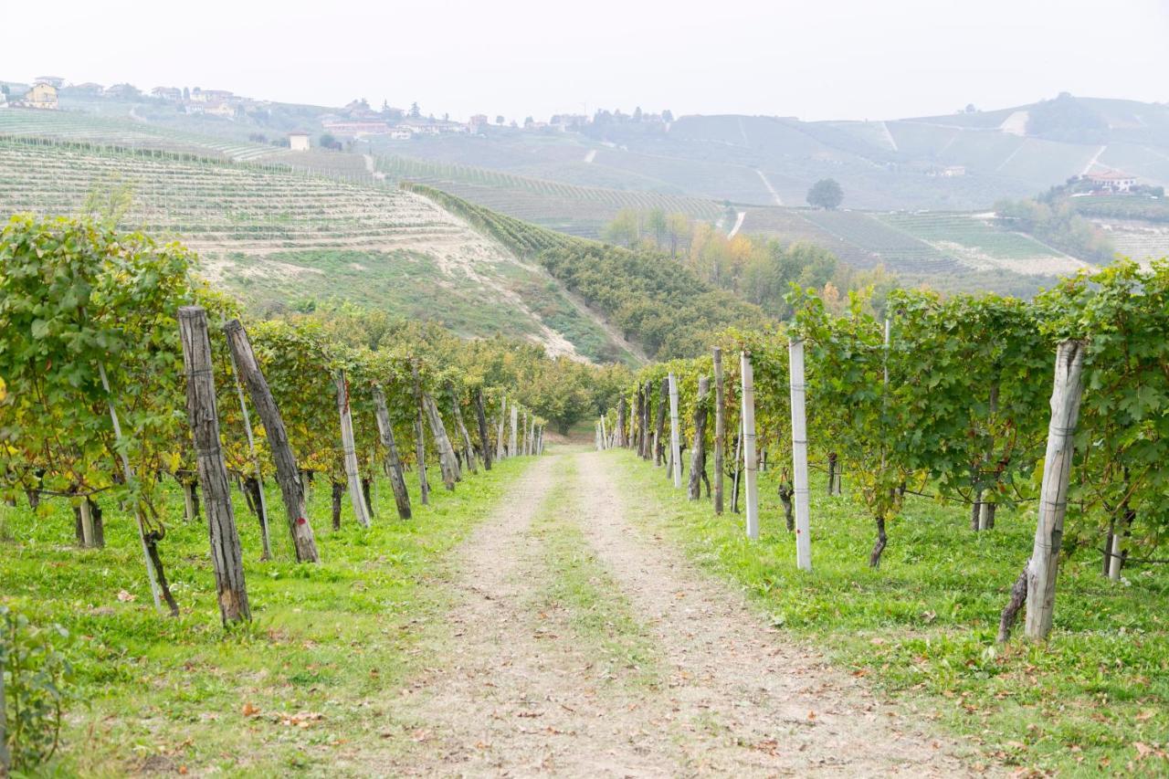 Ca Trifolera Barbaresco - Romantico Cascinale Con Antica Cantina Nel Cuore Delle Langhe - Degustazione Vini Nella Nostra Cantina 外观 照片