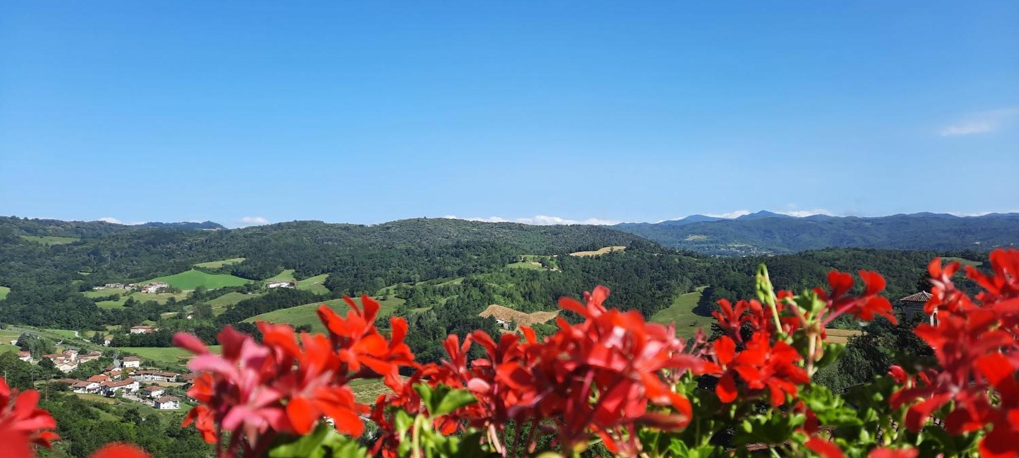 Ca Trifolera Barbaresco - Romantico Cascinale Con Antica Cantina Nel Cuore Delle Langhe - Degustazione Vini Nella Nostra Cantina 外观 照片