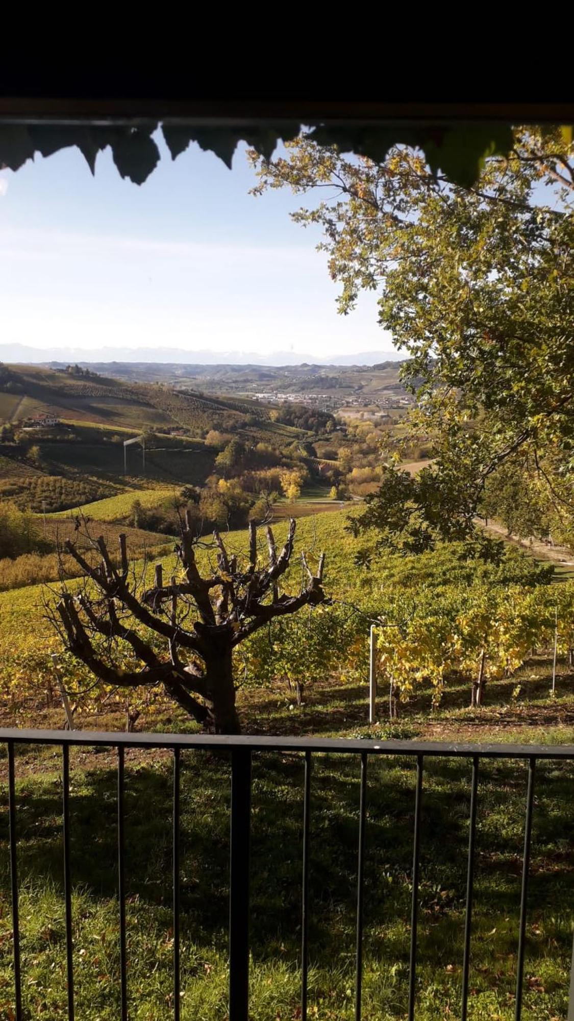 Ca Trifolera Barbaresco - Romantico Cascinale Con Antica Cantina Nel Cuore Delle Langhe - Degustazione Vini Nella Nostra Cantina 外观 照片