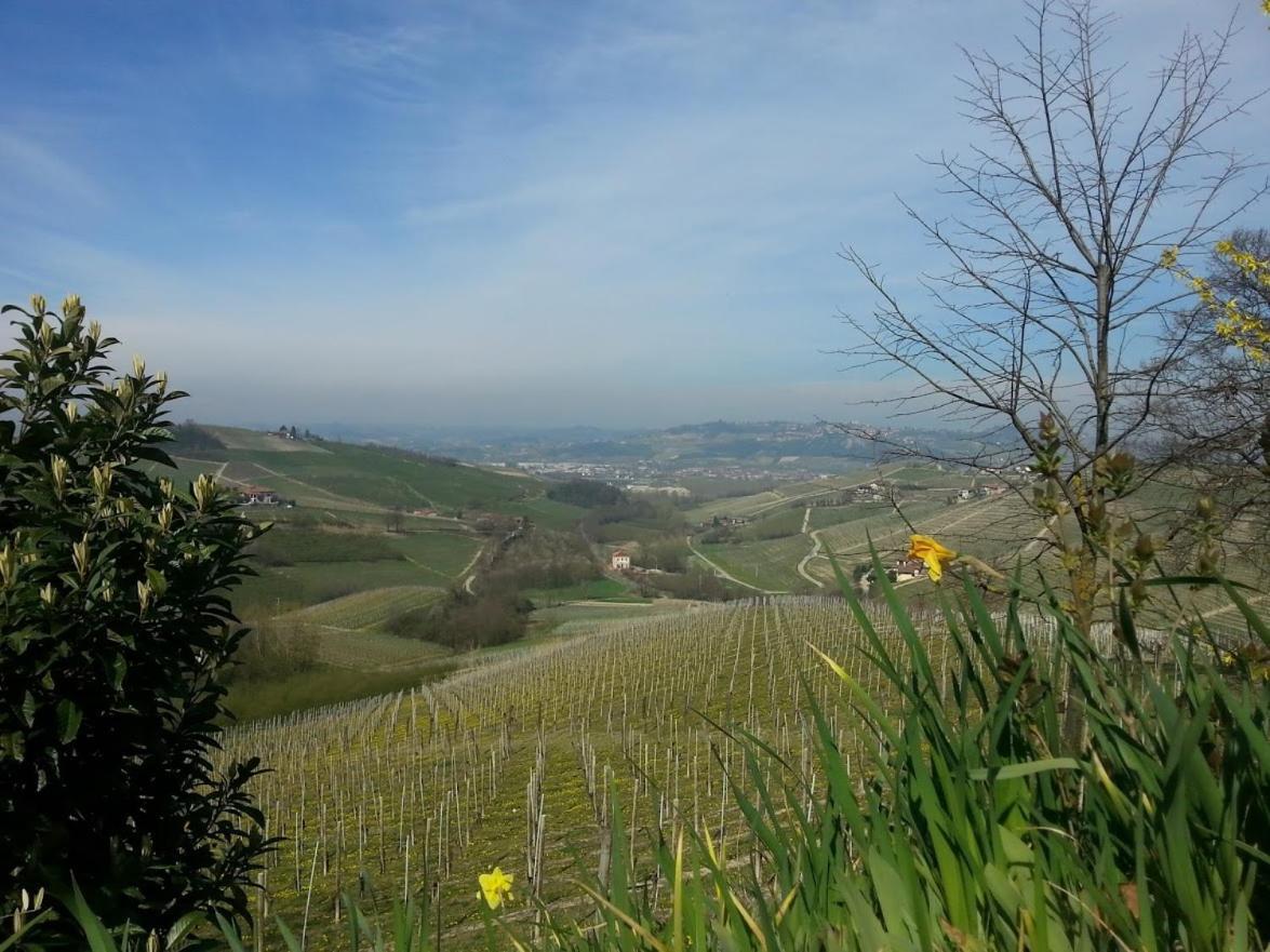 Ca Trifolera Barbaresco - Romantico Cascinale Con Antica Cantina Nel Cuore Delle Langhe - Degustazione Vini Nella Nostra Cantina 外观 照片