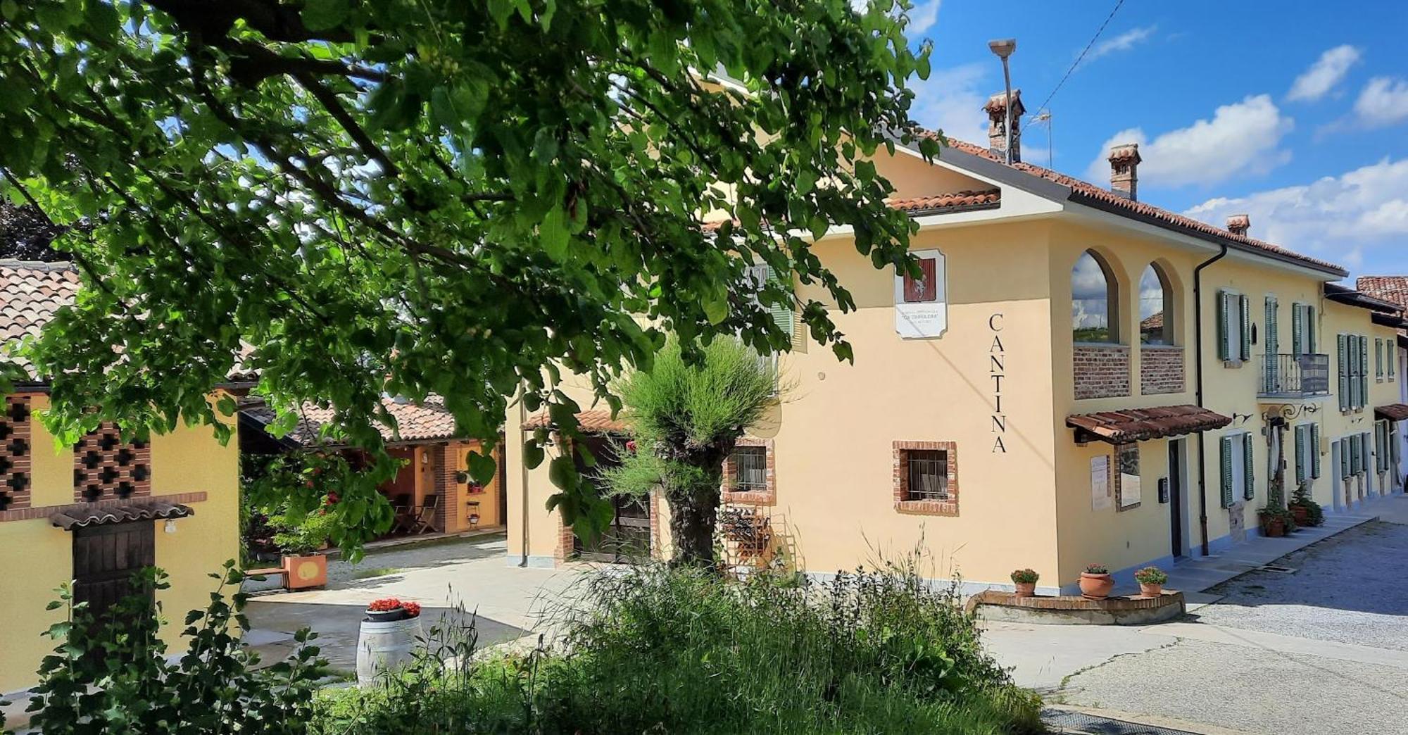 Ca Trifolera Barbaresco - Romantico Cascinale Con Antica Cantina Nel Cuore Delle Langhe - Degustazione Vini Nella Nostra Cantina 外观 照片