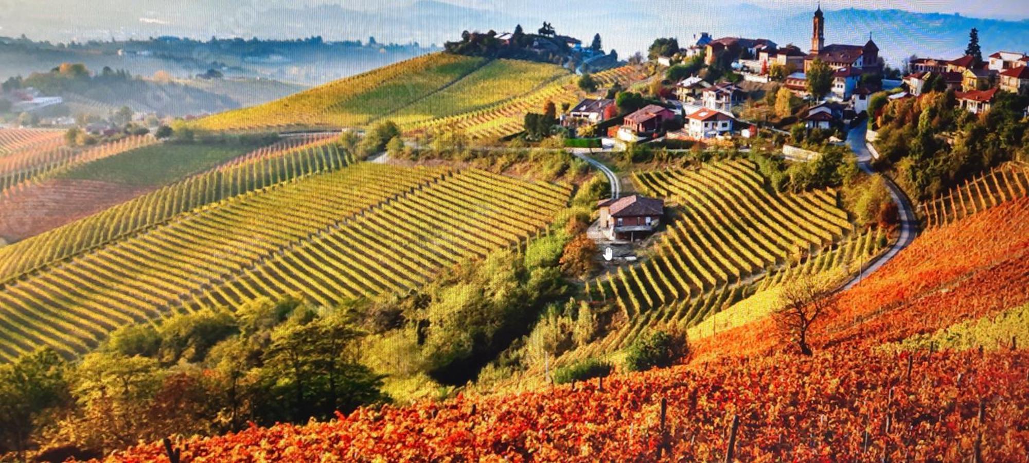 Ca Trifolera Barbaresco - Romantico Cascinale Con Antica Cantina Nel Cuore Delle Langhe - Degustazione Vini Nella Nostra Cantina 外观 照片