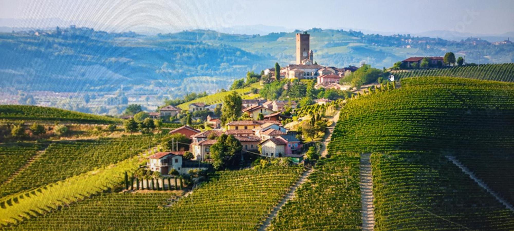 Ca Trifolera Barbaresco - Romantico Cascinale Con Antica Cantina Nel Cuore Delle Langhe - Degustazione Vini Nella Nostra Cantina 外观 照片