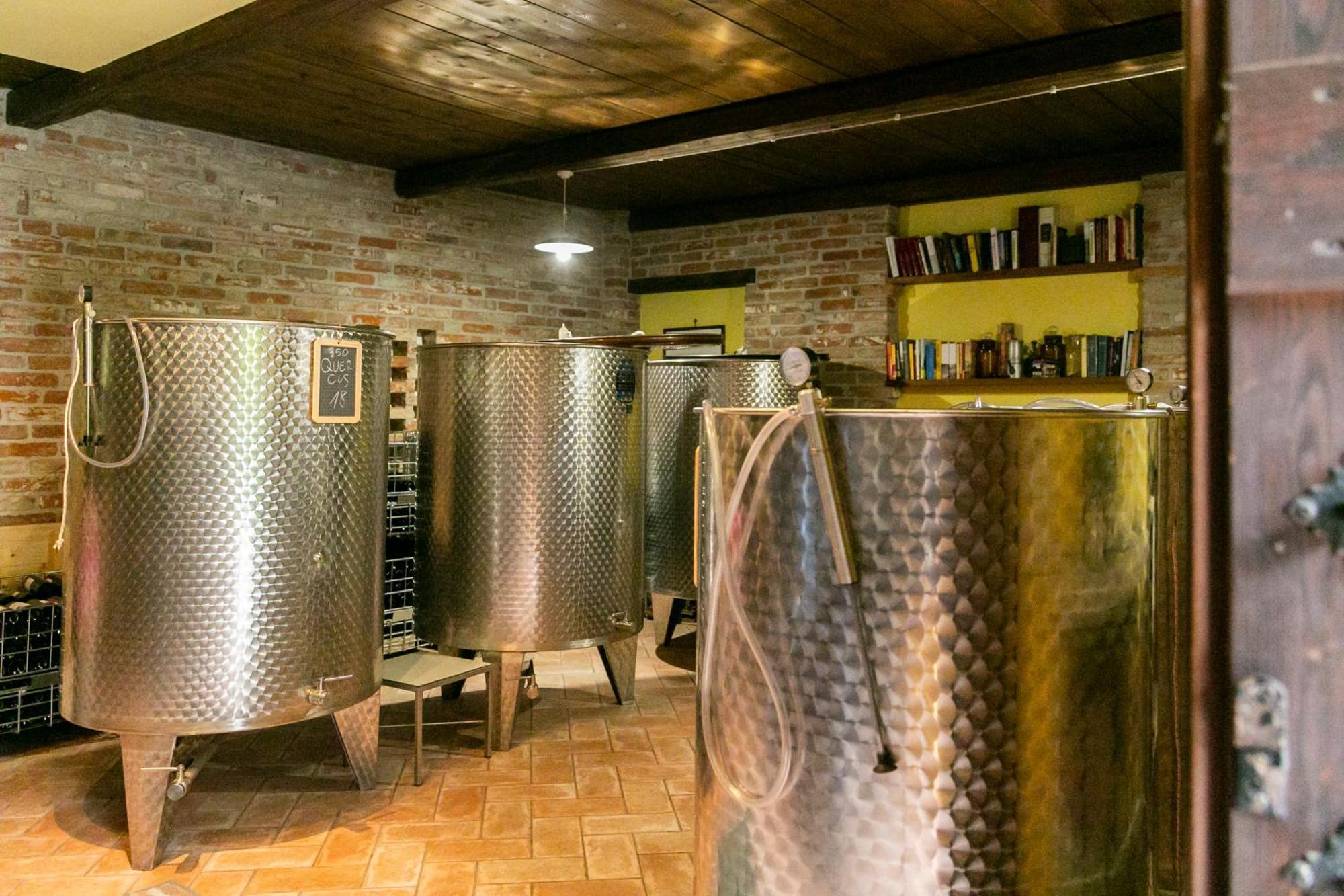 Ca Trifolera Barbaresco - Romantico Cascinale Con Antica Cantina Nel Cuore Delle Langhe - Degustazione Vini Nella Nostra Cantina 外观 照片