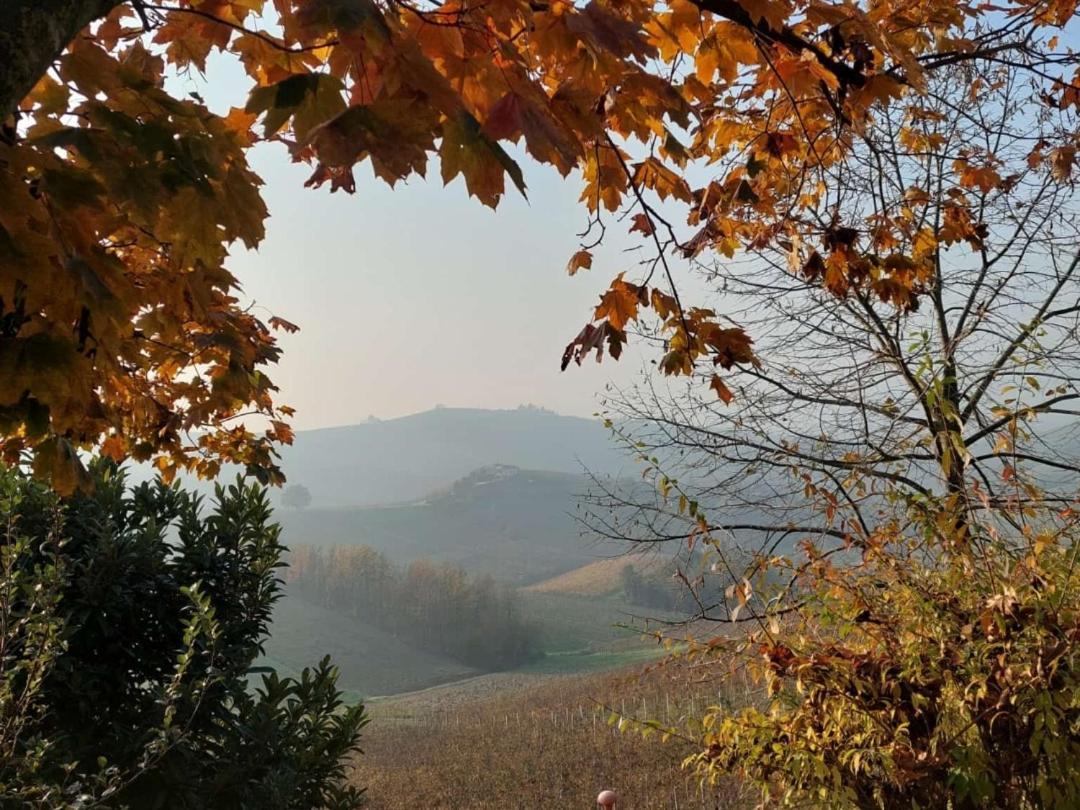 Ca Trifolera Barbaresco - Romantico Cascinale Con Antica Cantina Nel Cuore Delle Langhe - Degustazione Vini Nella Nostra Cantina 外观 照片